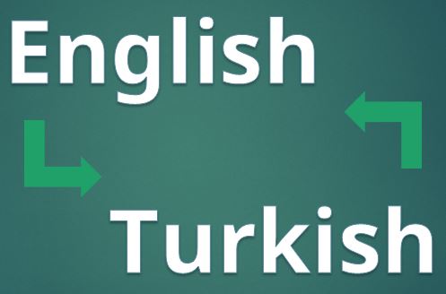 Professional English/Turkish Translation ( Every 100 words)